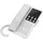 Grandstream GHP620W