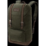 Jack Wolfskin TWEEDHAM woodland green woodland green - Grün