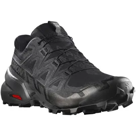 Salomon Speedcross 6 Gore-Tex Herren Black / Phantom 44 2/3