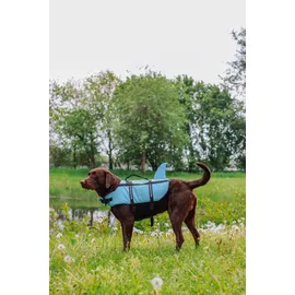 Nobby Hunde Schwimmweste Sharki mit Haiflosse hellblau