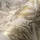 A.S. Création My Home My Spa Vliestapete Blumen Gold Beige 10,05 x 0,53 m 387003