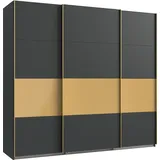 WIMEX Schwebetürenschrank Dubai 225 x 208 x 65 cm Gold/Schwarz