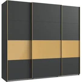 WIMEX Schwebetürenschrank Dubai 225 x 208 x 65 cm Gold/Schwarz