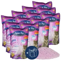 Lyra Pet 12 x 5 Liter Lyra Pet® Lyra