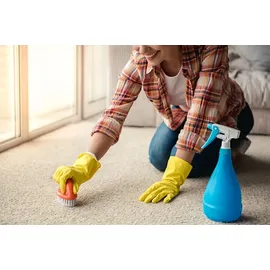 BIOHY Teppichreiniger Konzentrat 10 l