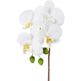 Creativ green Kunstorchidee CREATIV GREEN "Orchidee Phalaenopsis", weiß, H:44cm, Kunstpflanzen, mit real-touch-Blüten