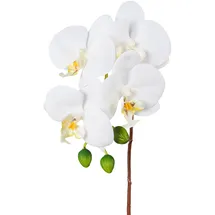 Creativ green Kunstorchidee CREATIV GREEN "Orchidee Phalaenopsis", weiß, H:44cm, Kunstpflanzen, mit real-touch-Blüten