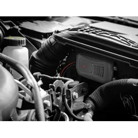 marder schreck Marderabwehr 16276