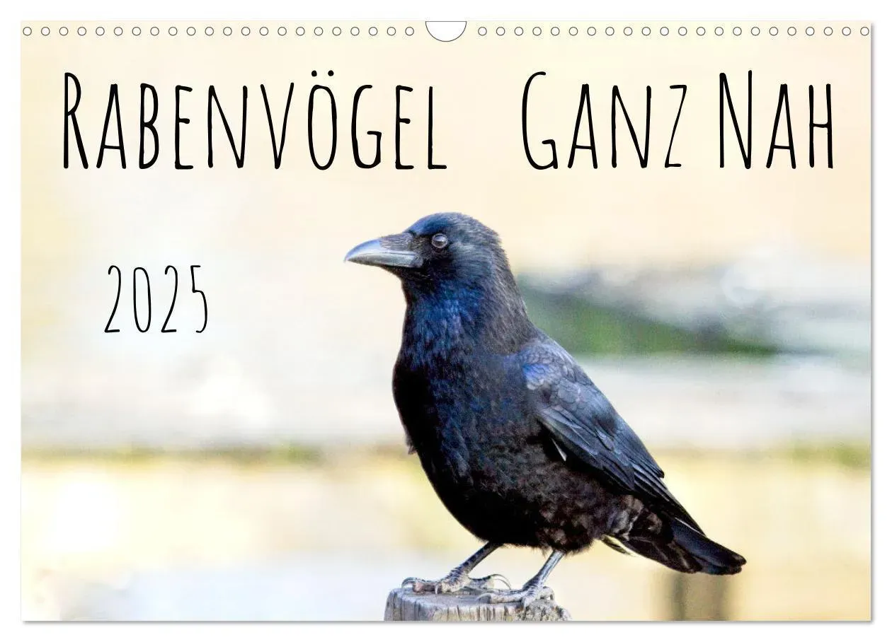 Rabenvögel - Ganz Nah (Wandkalender 2025 Din A3 Quer)  Calvendo Monatskalender