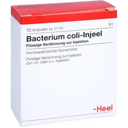 Bacterium coli-Injeel