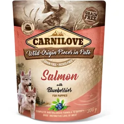 CARNILOVE Pieces in Paté 300 Gramm Hundenassfutter 12 x 300 Gramm Puppy Salmon with Blueberries