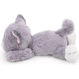 NICI Kuscheltier Katze grau 20 cm liegend GRÜN - Lila