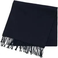 Gant für Herren. 9920203 Marineblauer Wollschal (OSFA), Lässig, Wolle