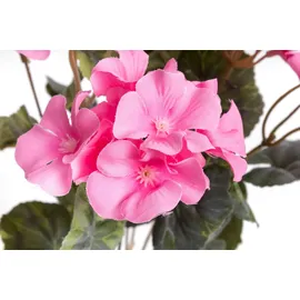 Botanic-Haus Kunstblume BOTANIC-HAUS "Geranienbusch", pink, B:22cm H:37cm T:22cm Ø:22cm, Kunststoff, Kunstpflanzen