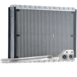 mahle AE 169 000P
