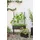 eva solo Simply Grow 20 x 42 x 20 cm Schwarz