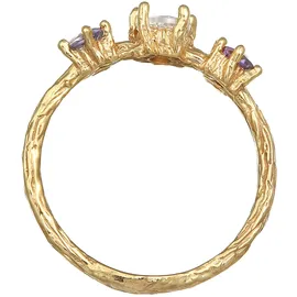 haze & glory Haze&Glory Ring gold & violettblau / transparent 58