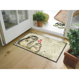 Wash+Dry Fußmatte Spike cm