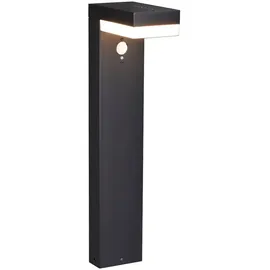 LED's light Solar-Wegeleuchte schwarz mit BWM 1000561