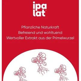 Dr. Pfleger Arzneimittel IPALAT Halspastillen classic 40 St