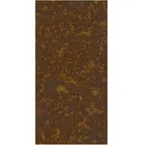 winwall Duschrückwand Duschrückwände ALU-Verbundplatte Dekor: Rostoptik, (1-tlg), Wandverkleidung aus Alu braun 125 cm x 250 cm