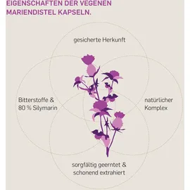 Kurkraft Mariendistel Komplex Kapseln 120 St.
