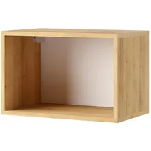 Lomadox Wandregal 50 x 32,5 x 30 cm Eiche Gold/Weiß