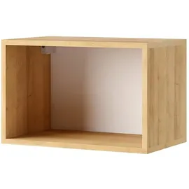Lomadox Wandregal 50 x 32,5 x 30 cm Eiche Gold/Weiß