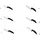 Lacor Keramic Allzweckmesser 12 cm Schwarz