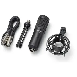 Tascam TM-70 Dynamisches Mikrofon für Podcasting