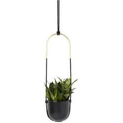 Umbra - Bolo Blumenampel, schwarz / Messing
