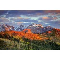 Fototapete PAPERMOON "GEBIRGE-HERBST NATUR ALPEN LANDSCHAFT WALD BÄUME BERGE", bunt, B:2,50m L:1,86m, Vlies, Tapeten
