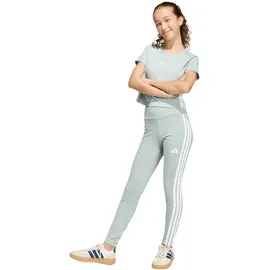 adidas ESSENTIALS 3 STRIPES Leggings Wonder Sage/white 164