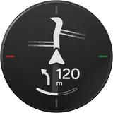 Beeline Velo 2