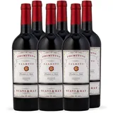 SCAVI & RAY Primitivo Salento IGT Rotwein 6 x 0,75l, halbtrocken, samtig-weicher Cuvée aus Apulien in Italien, 13% Vol. Alkohol – Ideal zu italienischen Gerichten und Gegrilltem