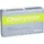 Esteve Pharmaceuticals GmbH Cholecysmon Silberperlen