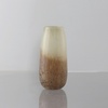 Vase, Beige, Glas, 36 cm, Dekoration, Vasen, Glasvasen