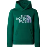 The North Face Kinder Boys Drew Peak Hoodie (Größe L, gruen)