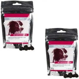 Alfavet CaniGum Fluu 2 x 80 g