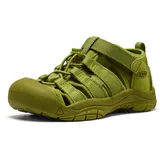 Keen Newport H2 Goldene Zypresse Monochrom Grün 36