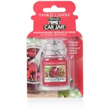 Yankee Candle Red Raspberry Autoduft zum Aufhängen