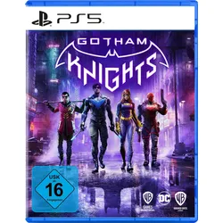 Gotham Knights