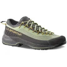 La Sportiva Damen TX4 Evo ST Schuhe (Größe 39, gruen)