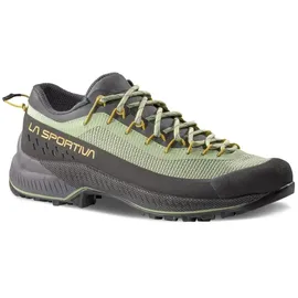 La Sportiva Damen TX4 Evo ST Schuhe (Größe 39, gruen)