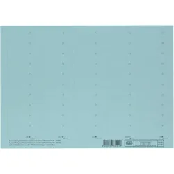 HAMELIN Beschriftungsschildchen f.Vertic 1 Hängeregistratur - blau