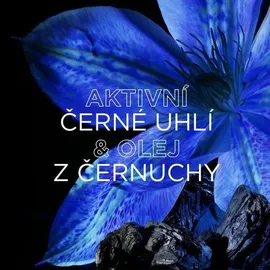 Garnier Botanic Therapy Reinigungsshampoo Magnetic Charcoal 400 ml