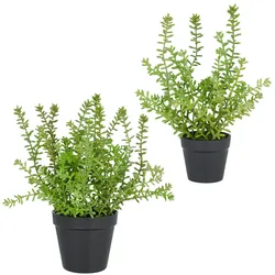 Kunstpflanze CREATIV GREEN "Sedum acre Yellow Queen", grün, H:32cm, Kunststoff, Kunstpflanzen, mit filigranen Sedumzweigen