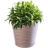 Kadax Blumentopf mit Untersetzer, aus Kunststoff, rund, 25 cm, Beige