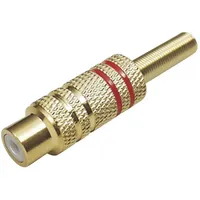 TRU Components 1577780 Cinch-Steckverbinder Kupplung, gerade Polzahl: 2 Mono