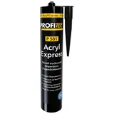 PROFITEC P581 Acryl Express 310 ml